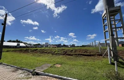 Terreno à venda em vera cruz - loteamento primavera