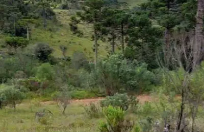 Área rural com 10 hectares,  na localidade de pericó em são joaquim
