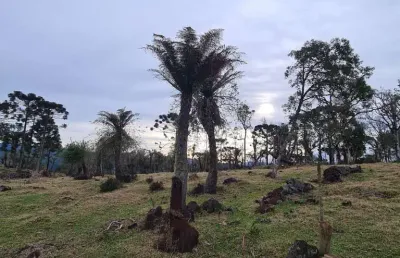Área de 14 hectares no vacariano de fácil acesso, próximo a urubici, rio rufino