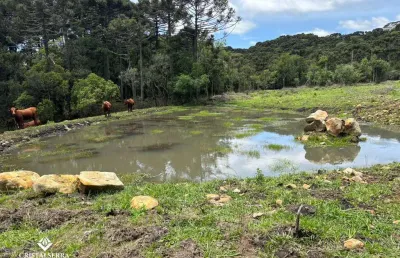 3 ha localizada na tranquila e charmosa localidade de pericó proximo a urubici