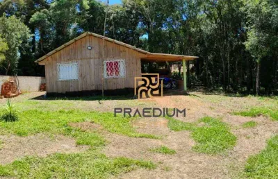 Chácara com 2 dormitórios à venda, 3200 m² por r$ 360.000,00 - contenda - são josé dos pinhais/pr