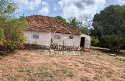 Terreno à venda no Centro (Rosália), Marília 