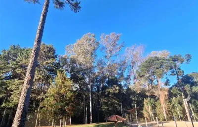 Terreno à venda na Nossa Senhora da Saúde, Caxias do Sul 