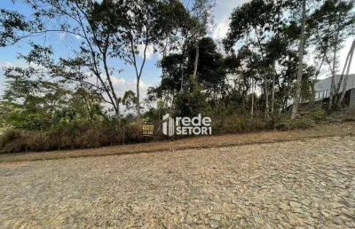 Terreno à venda, 1800 m² por r$ 220.000,00 - nova califórnia - juiz de fora/mg