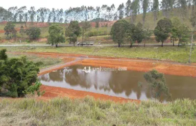 Terreno à venda, 60538 m² por r$ 2.250.000,00 - igrejinha - juiz de fora/mg