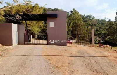 Terreno à venda, 20000 m² por r$ 149.000,00 - santa cruz - juiz de fora/mg