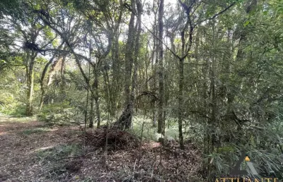 Terreno à venda na Ana Rech, Caxias do Sul 