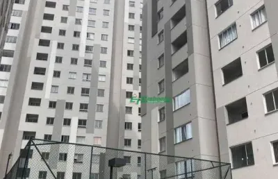 Lindo apartamento 2 dormitorios shopping internacional