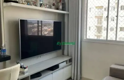 Apartamento com 2 dormitórios à venda, 49 m² por r$ 318.000,00 - cocaia - guarulhos/sp