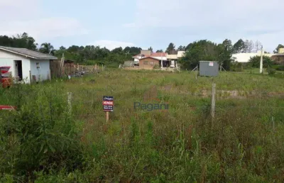 Terreno à venda, com escritura pública 896 m² por r$ 1.100.000 - pinheira - palhoça/sc