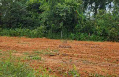Terreno à venda, 200 m² por r$ 235.000,00 - pacheco - palhoça/sc