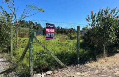 Terreno à venda, 800 m² por r$ 585.000,00 - balneário ponta do papagaio (ens brito) - palhoça/sc