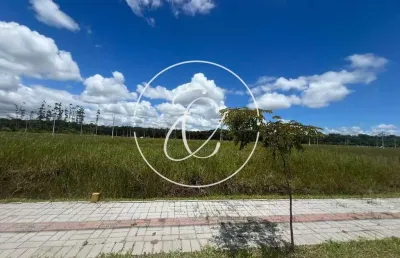 Terreno à venda no loteamento jardim cristina - araquari/sc