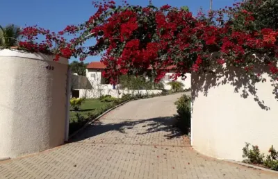 Casa em condomínio fechado com 4 quartos à venda na Alameda Ouro, 20, Chácara Flórida, Itu
