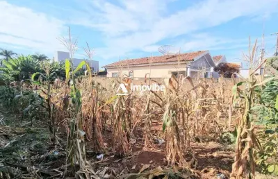 Terreno plano à venda com 300m² no bairro jd. amélia – americana/sp **metragem rara nesse bairro! aproveite essa oportunidade única!**