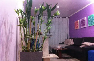Casa com 3 quartos à venda na Rua Edgar, Vila Guilherme, São Paulo