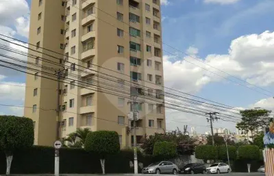 Apartamento com 3 quartos à venda em vila paulicéia - sp