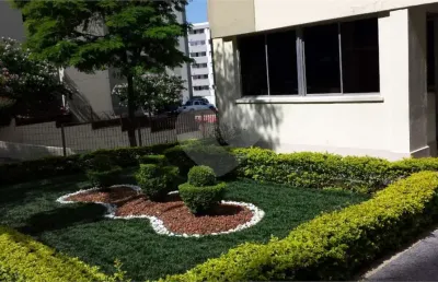 Apartamento com 2 quartos à venda em vila amélia - sp