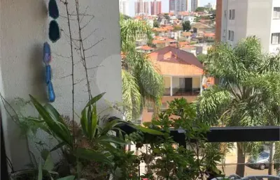 Apartamento com 3 quartos à venda em parque mandaqui - sp