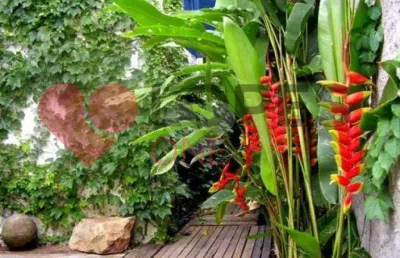 Casa térrea com 3 quartos à venda em parque peruche - sp