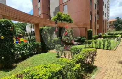 Apartamento com 2 quartos à venda na Rua Alexandre Levi, Cambuci, São Paulo