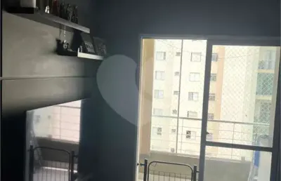 Apartamento com 3 quartos à venda em vila amélia - sp