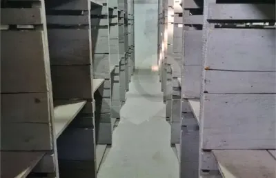 Prédio inteiro à venda em jardim santa terezinha (zona leste) - sp