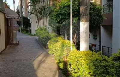Apartamento com 2 quartos à venda em vila amélia - sp