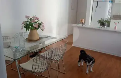 Apartamento com 2 quartos à venda em vila mazzei - sp