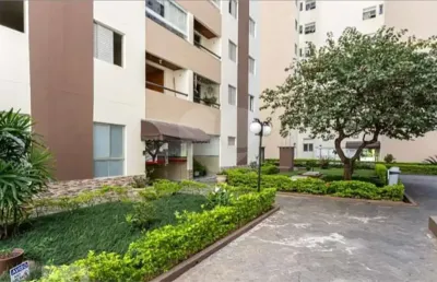Apartamento com 3 quartos à venda em vila nova cachoeirinha - sp