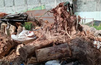Terreno comercial para alugar na Orlando Marchetti, Limão, São Paulo