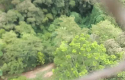 Terreno à venda em jardim leonor mendes de barros - sp