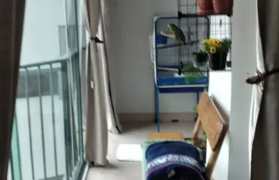Apartamento com 3 quartos à venda na Rua Dona Maria Custódia, Santa Teresinha, São Paulo