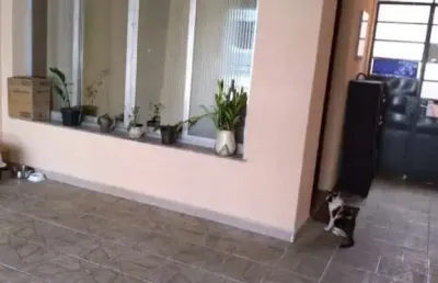 Sobrado tatuapé - 4 dormitórios à venda, 200 m² -  2 vagas