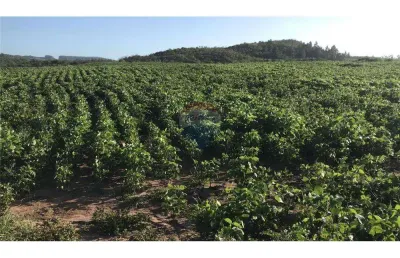 Fazenda à venda no Centro, Encruzilhada do Sul 