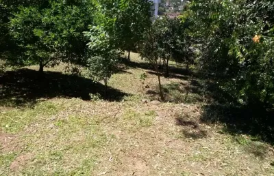 Ferreira negócios imobiliários vende	terreno em caxias do sul bairro santa catarina