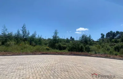 Ferreira negócios imobiliários vende	terreno em garibaldi  bairro alfândega loteamento spader
