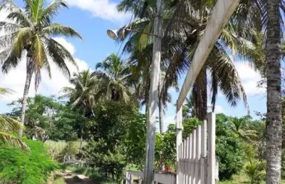 Chácara / sítio à venda no Peróbas (Pachecos), Itaboraí 