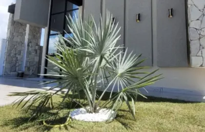 Casa em condomínio fechado com 3 quartos à venda na Avenida Escritor Ramalho Leite, Muçumagro, João Pessoa
