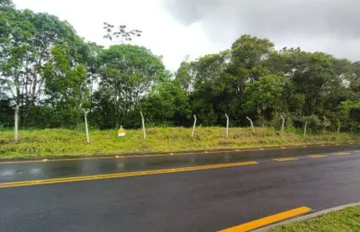 Terreno comercial à venda em Reta, São Francisco do Sul 