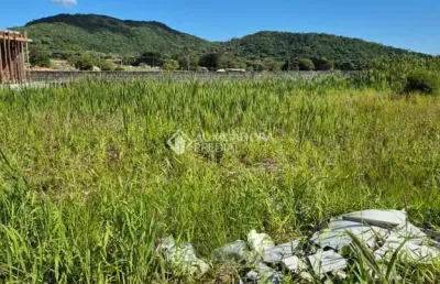 Terreno à venda na rodovia doutor antônio luiz moura gonzaga, 3312, rio tavares, florianópolis, 452 m2 por r$ 980.000