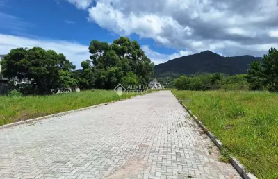 Terreno à venda na rua cedro rosa do sul, 1171, ribeirão da ilha, florianópolis, 375 m2 por r$ 850.000