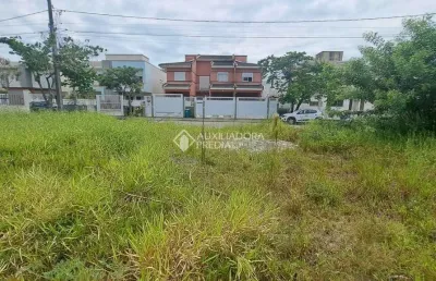 Terreno à venda na rua paineira do ribeirão, 20, ribeirão da ilha, florianópolis, 456 m2 por r$ 1.380.000