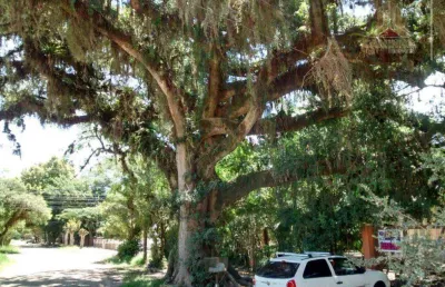 Terreno à venda na Avenida Desembargador Mello Guimarães, 135, Belém Novo, Porto Alegre