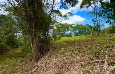 Terreno em condomínio fechado à venda no centro, paulo lopes  por r$ 520.000