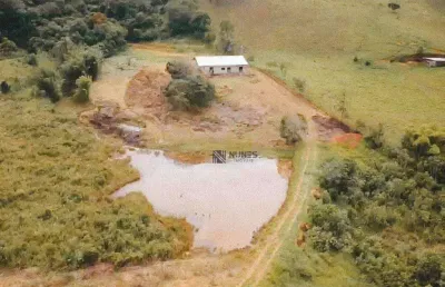 Chácara com 3 dormitórios à venda, 42000 m² por r$ 450.000,00 - torreões - juiz de fora/mg