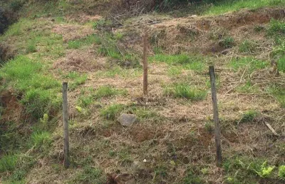 Terreno à venda, 506 m² por r$ 180.000 - santos dumont - juiz de fora/mg