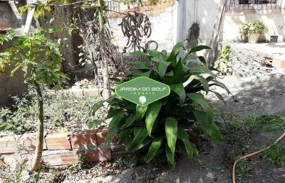Terreno à venda na Rua Ilha Bela, Pedreira, São Paulo
