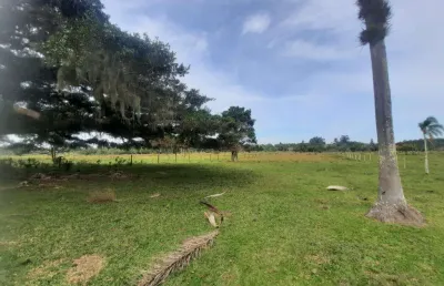 Sítio à venda no bairro são francisco com 25000 m² de área privativa