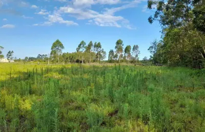 Área de terra à venda no bairro curralinhos com 3092 m² de área privativa
